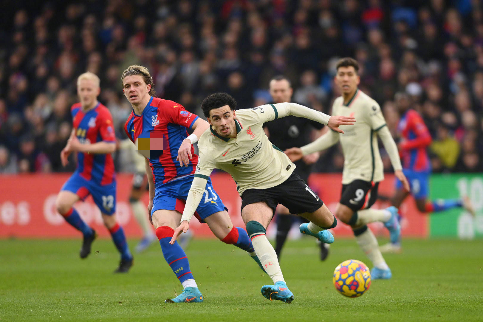 紅葉路線｜天氣漸冷烏蛟騰楓香變紅　打卡荔枝窩空心樹走谷荔古道.